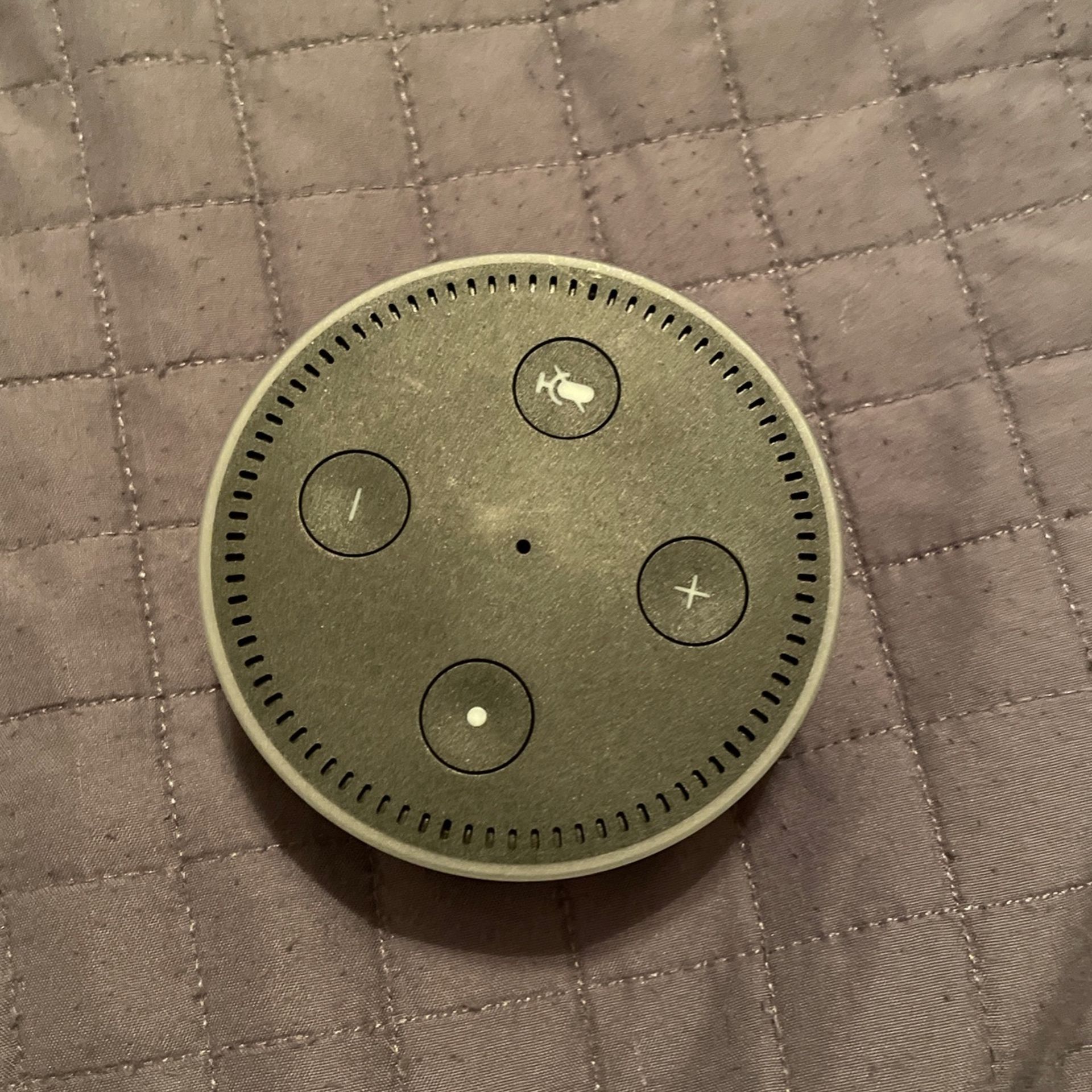 Echo Dot