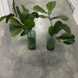 Fake Plants W/ Vase 