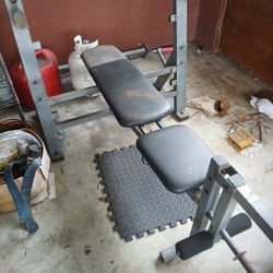 Weight Bench 