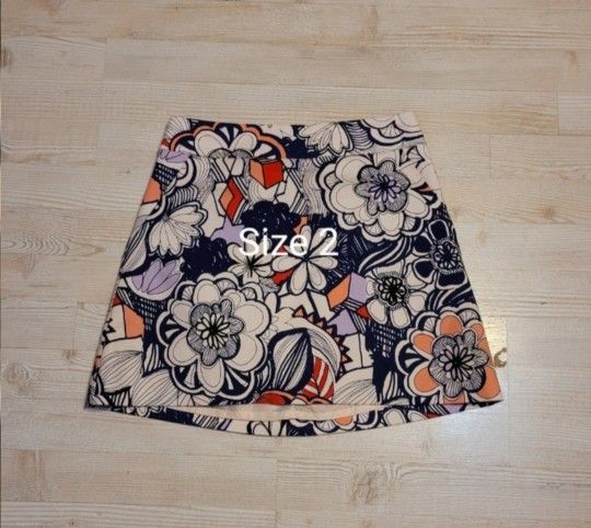 Express Size 2 Womens Skirt