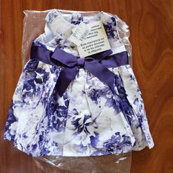3-6 Month Baby Dress $15 Brand NEW