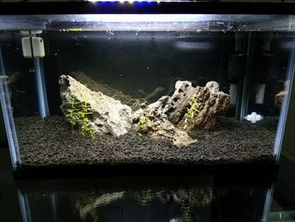 AQUARIUM FISH TANK 10 GALLON