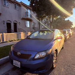 Corolla Le 2010