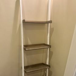 Ladder Bookshelf Ladder Shelf