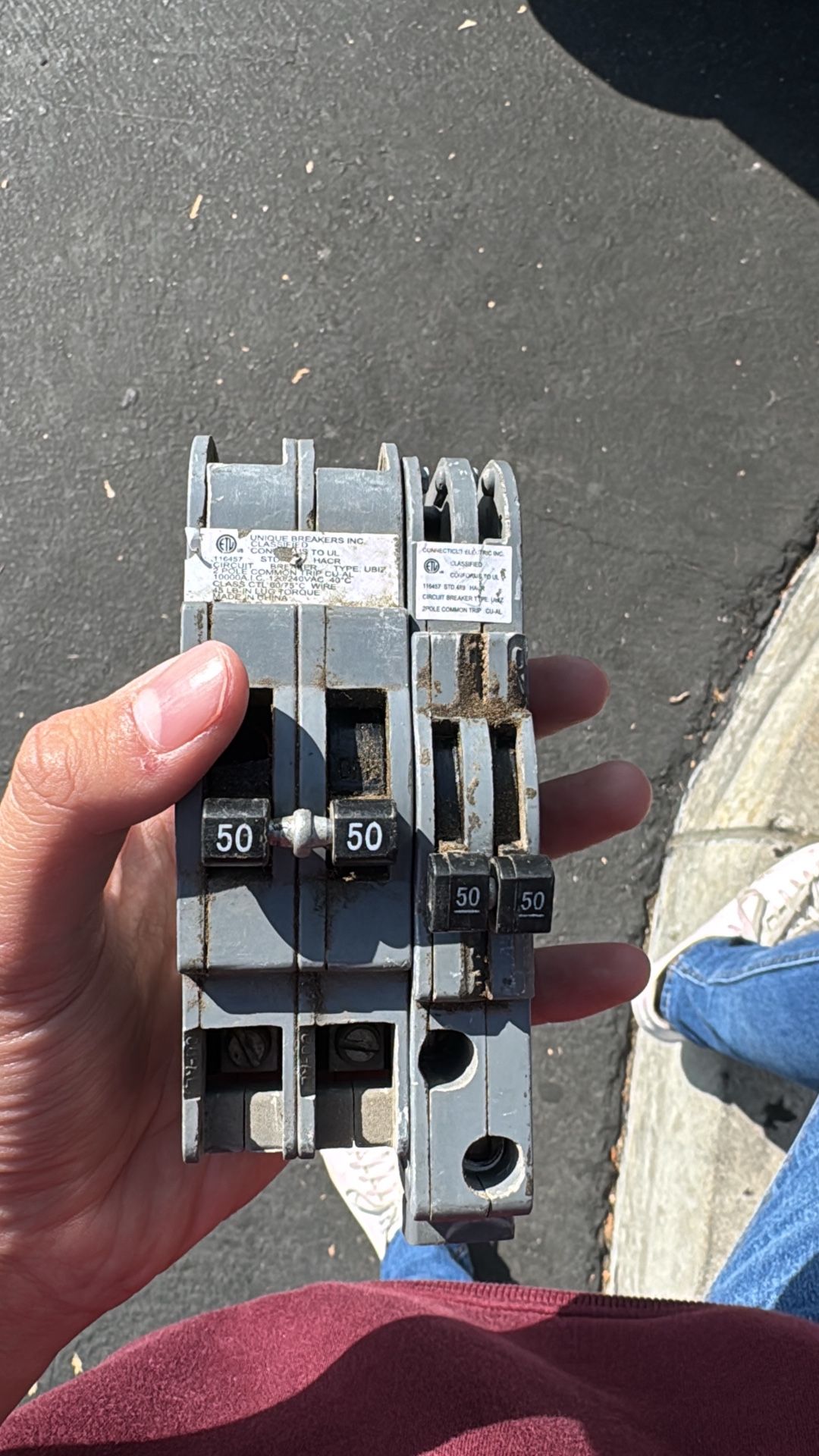 Double Pole 50 Zinsco breakers