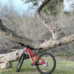 Specialized Rockhopper 27.5 Size XS