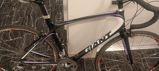 Giant Carbon Fiber Bike