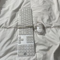 Apple Mac Keyboard-Mouse