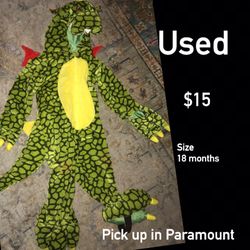 Dragon costume