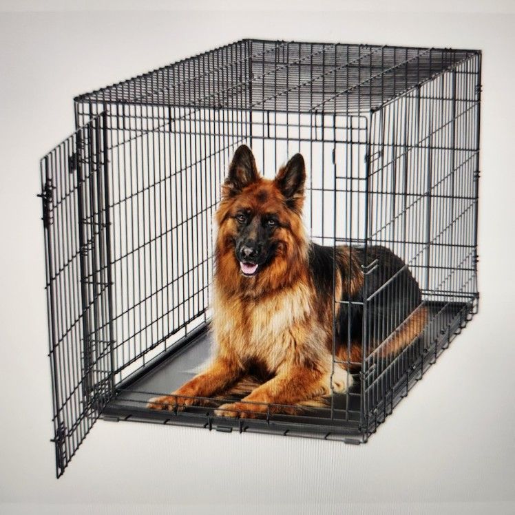 Collapsible Wire Dog Crate