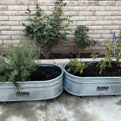 Butler Stainless Steel Horse Trough Planter on Wheels