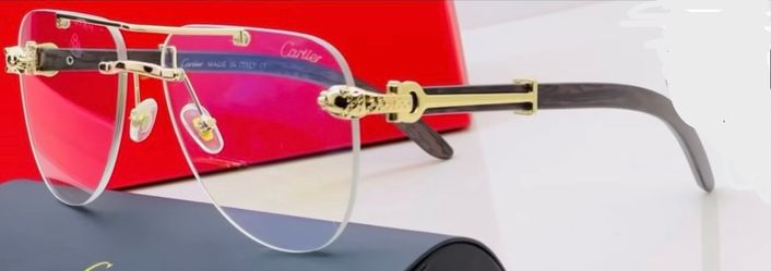 Cartier sunglass