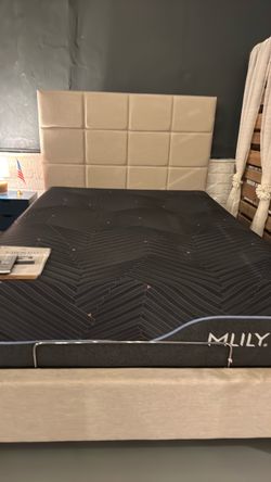 Free mattresses - king and queen and cal king