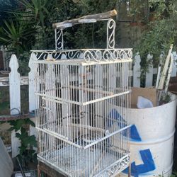 Large Bird Hose Cage