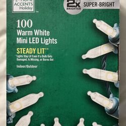 New home accents holiday mini LED lights