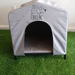 Dog House