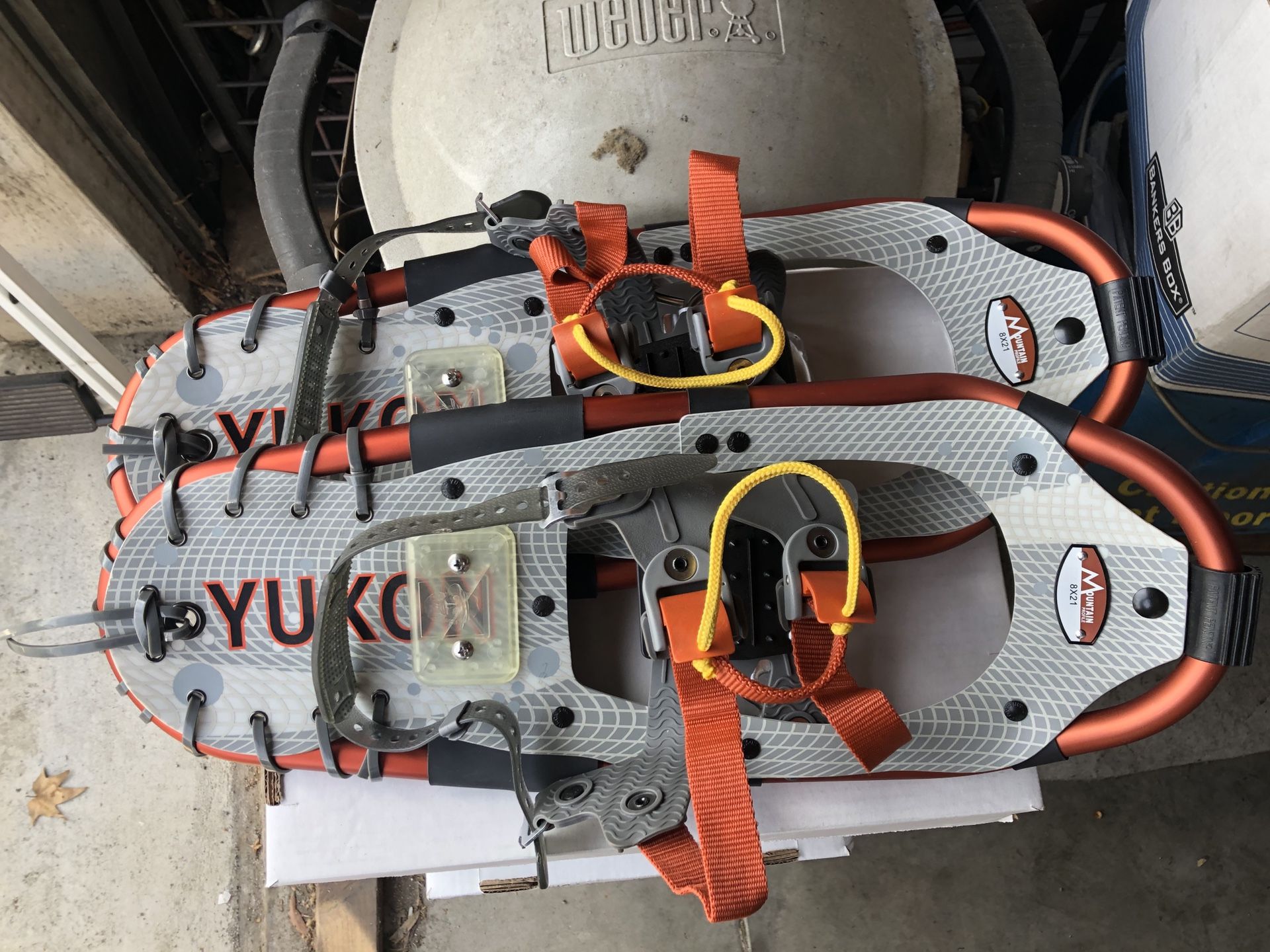 Snowboard Boots and Snowshoes