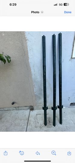 Garden Sticks 