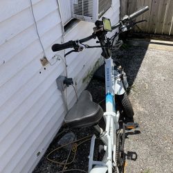 Lectric Bike Frame 