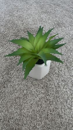 Faux Plant Home Decor 3”x6”
