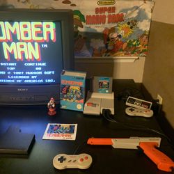 Bomberman for the original Nintendo Nes console 