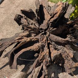 Unique Aquarium Or Reptile Wooden Filler