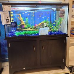 55 Gallon Fish Aquarium Tank on Stand