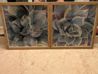 Flower Framed Art