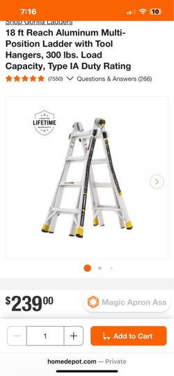 Gorilla 18ft ladder