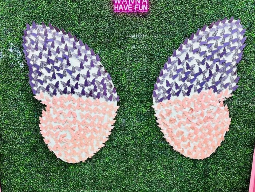 4f Butterfly Wings