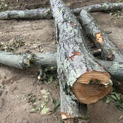 Free Hardwood 