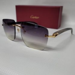 Cartier Buffs Sunglasses 👓 
