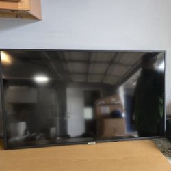 48" TV