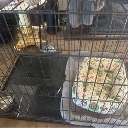 XXL dog Crate