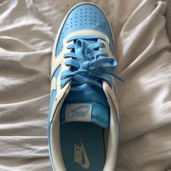 Nike Blue Dunks 