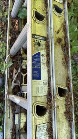 40' ladder