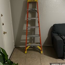 6 Foot Ladder