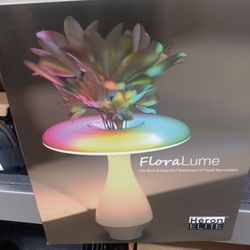 Heron Elite FloraLume Multi-Colored Led Lighted Vase