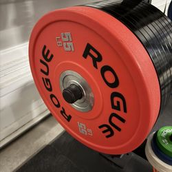 Rogue Fitness Urethane Bumper Plates 55 Pounds