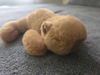 CAPYBARA SMALL STUFFIE