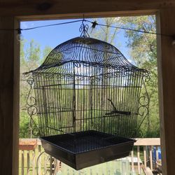 Metal bird cage 