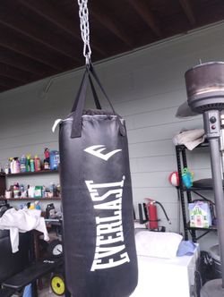 Everlast punching bag