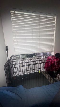 Dog Crate