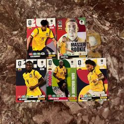 Panini adrenalyn XL WC 26 Cards Ecuador