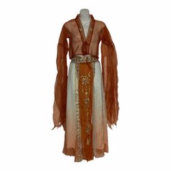 Belly Dancer Adult Women’s Halloween Costume. Size Small (New) *Top *Skirt *Par Tulle Sleeve.