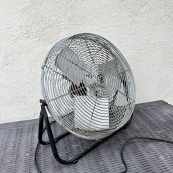 Fan