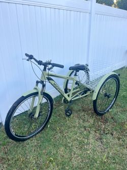 Adult Tricycle