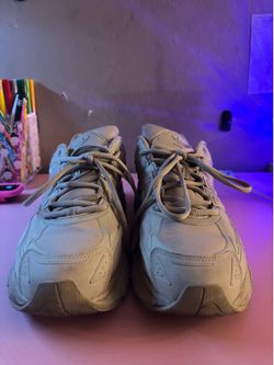 adidas Adistar Cushion GTX in the "Putty Grey" colorway (style IG6928)