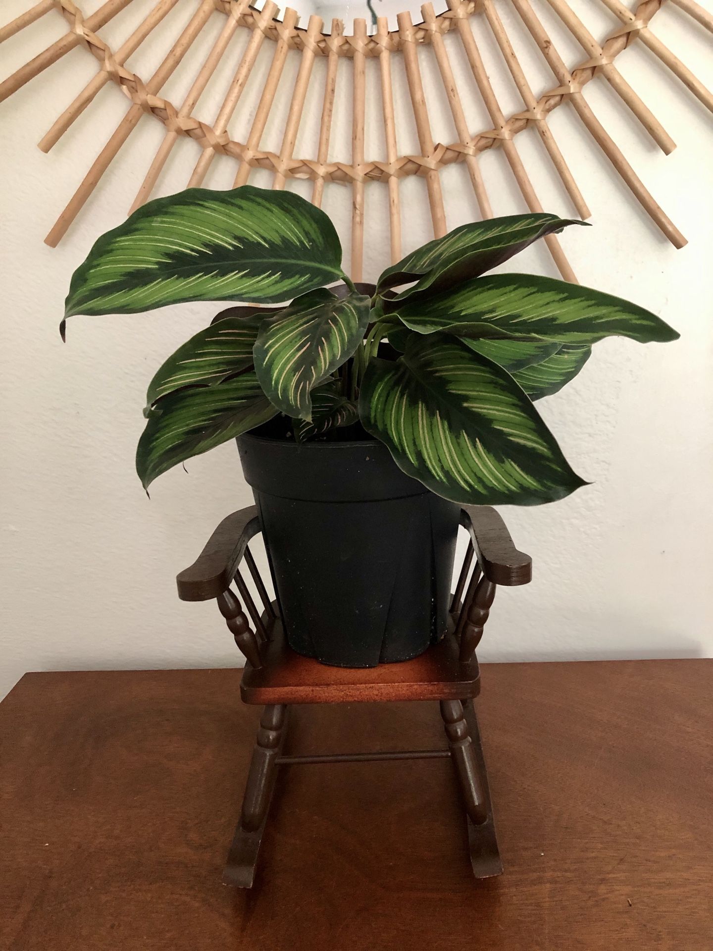 Adorable vintage miniature rocking chair plant stand