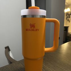 30 oz Stanley 